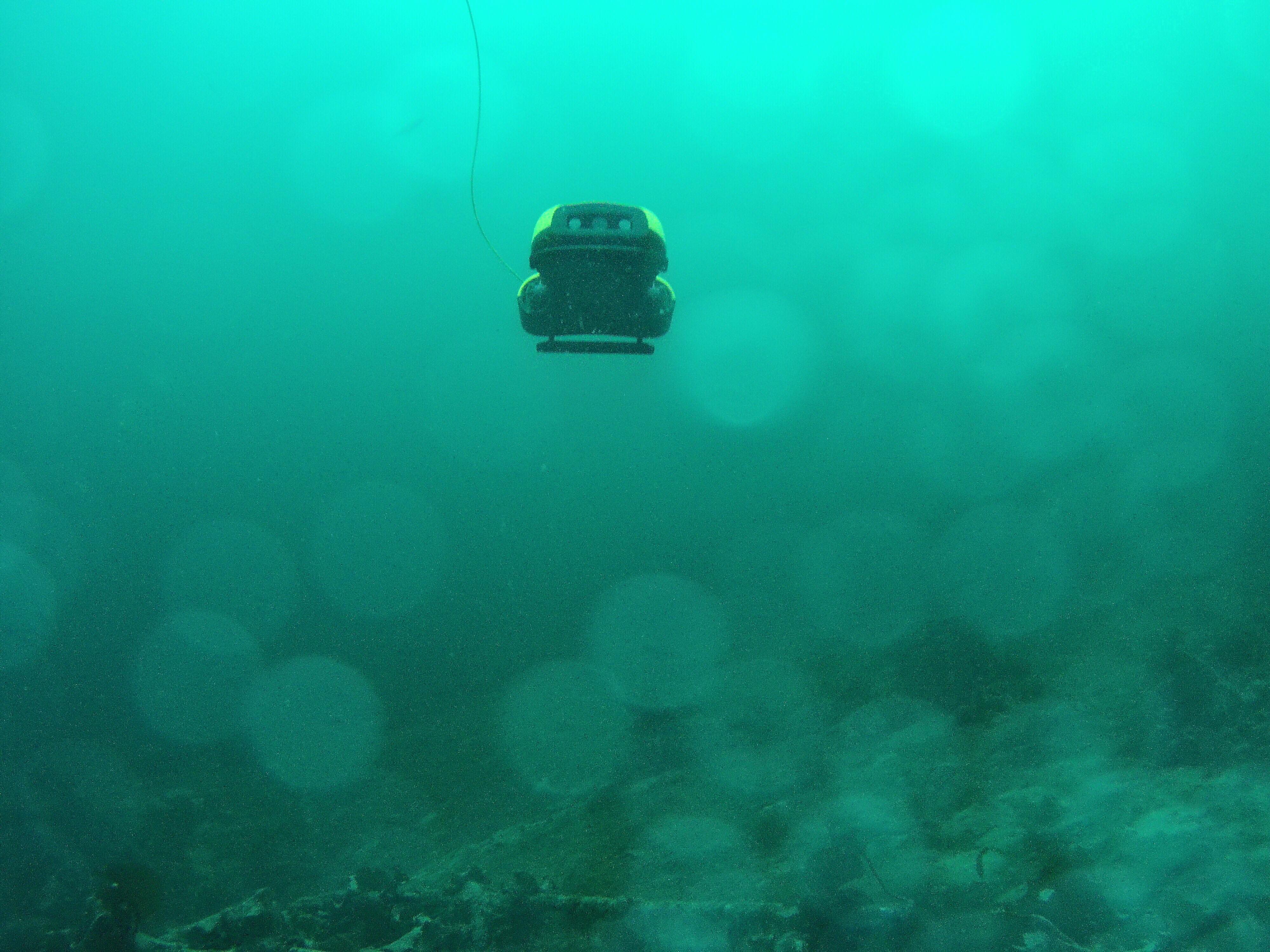 Nemo 1